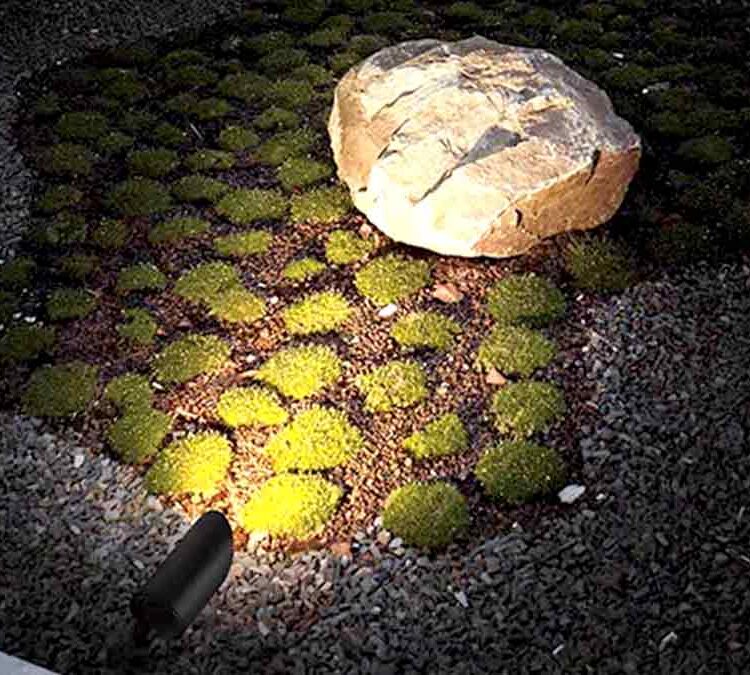 Landscape LED Spotlight